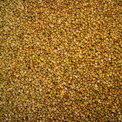 Picture of Organic Activated Buckwheat