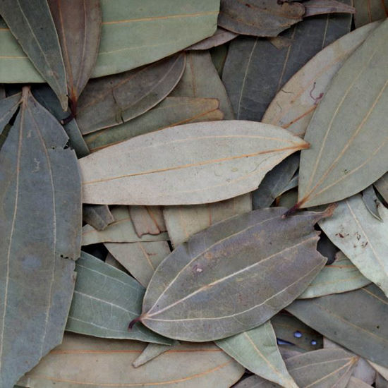 Picture of Organic Bay Leaves