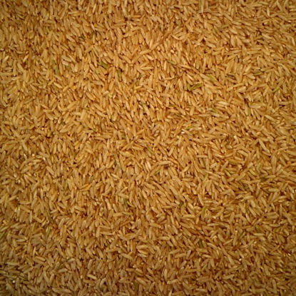 Picture of Organic Medium Brown Rice (Australian)