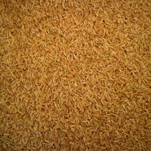 Picture of Organic Medium Brown Rice (Australian) 1kg