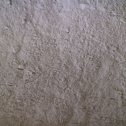 Picture of Organic Buckwheat Flour