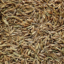Picture of Organic Caraway Seeds Tub