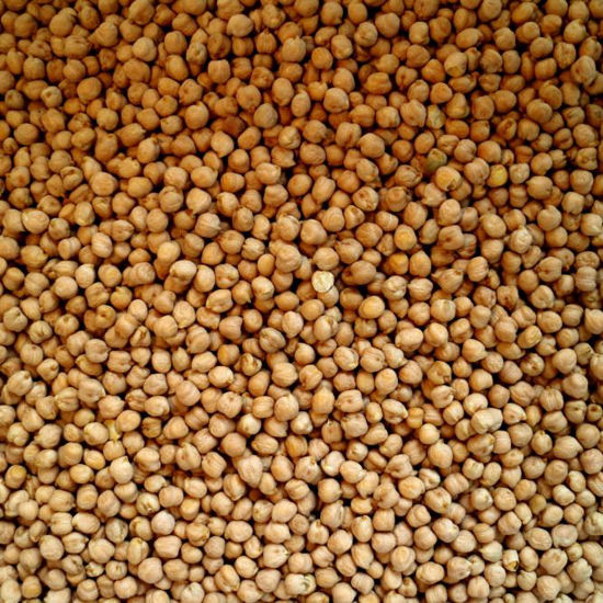 Picture of Organic Chickpeas