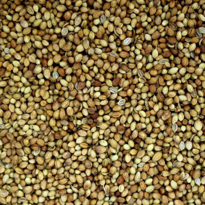 Picture of Organic Coriander Seeds
