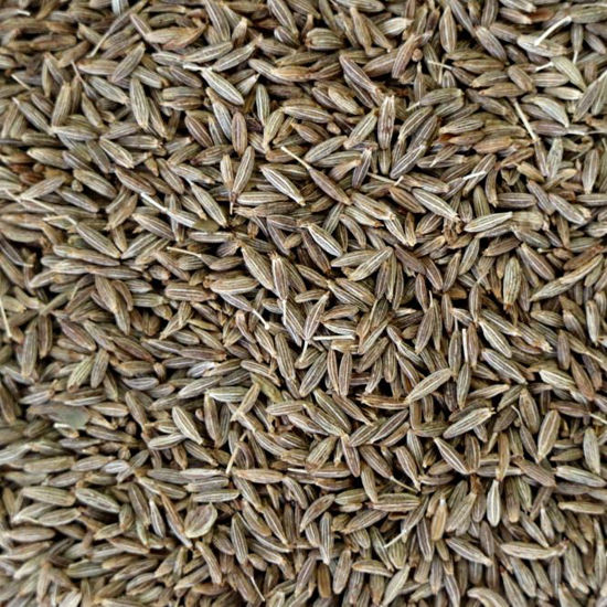 Picture of Organic Cumin Seeds