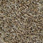 Picture of Organic Cumin Seeds