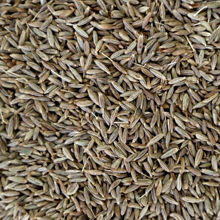 Picture of Organic Cumin Seeds 1kg