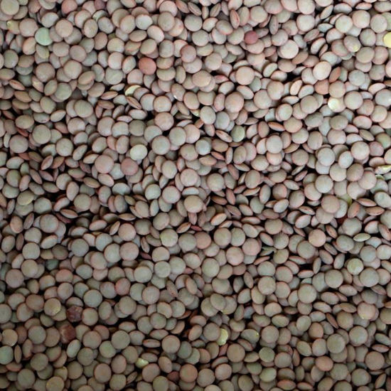 Picture of Organic Green Lentils (Laird)