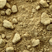 Picture of Organic Ground Ginger Tub