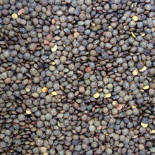 Picture of Organic Lentils Du Puy (French) 1kg