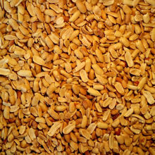 Picture of Organic Peanuts Medium Roast 1kg