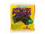 Picture of Organic Dried Prunes 250g