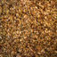 Picture of Organic Pumpkin Seeds (Pepitas) Green