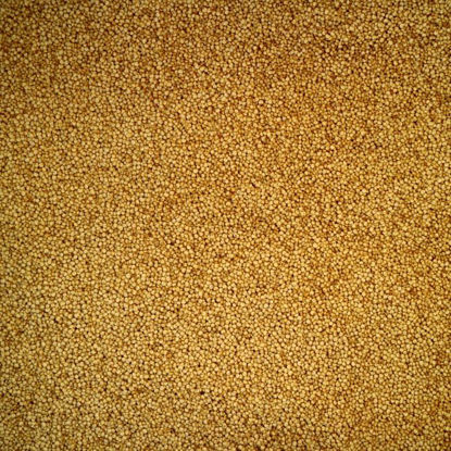 Picture of Organic Quinoa Tri -Colour