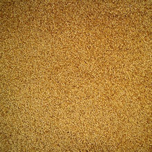 Picture of Organic Quinoa  Tri -Colour 1kg