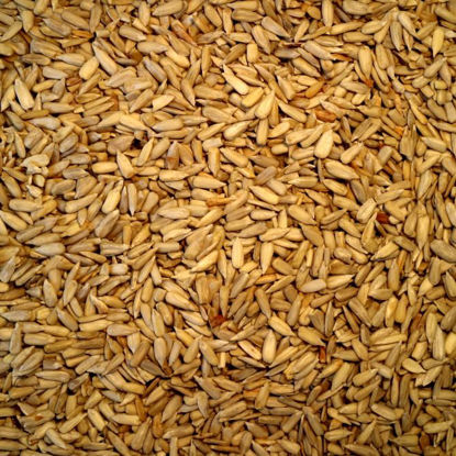 Picture of Organic Sunflower Kernels