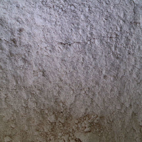 Picture of Organic Wholemeal Spelt Flour
