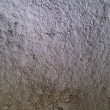 Picture of Organic Wholemeal Spelt Flour 1kg