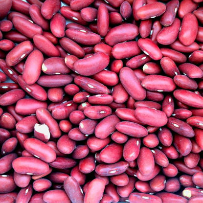 Picture of Organic Red Kidney Beans 