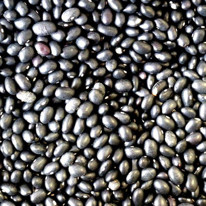 Picture of Organic Black Beans
