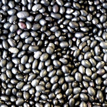 Picture of Organic Black Beans 250g