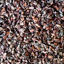 Picture of Organic Cacao Nibs