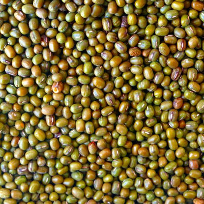 Picture of Organic Mung Beans 