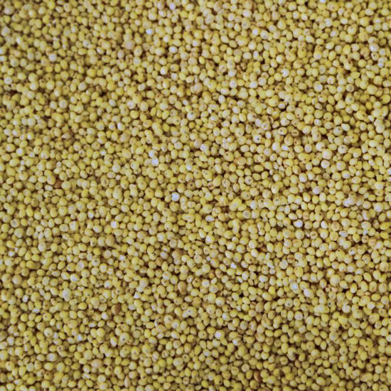 Picture of Organic Hulled Millet 