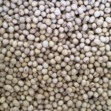Picture of Organic Soy Beans 1kg