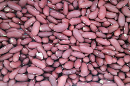 Picture for category Beans and Legumes