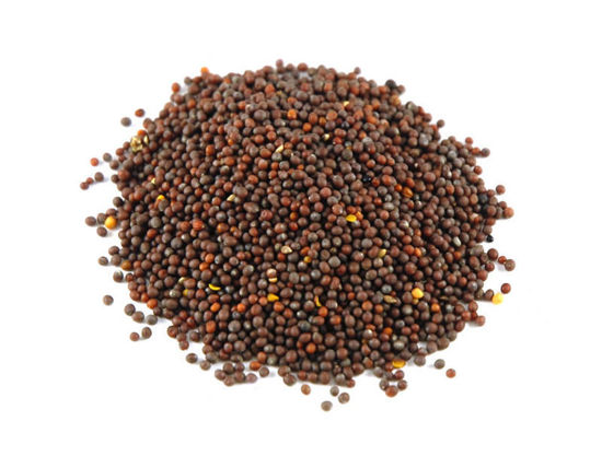 Picture of Organic Brown Mustard Seeds 50g